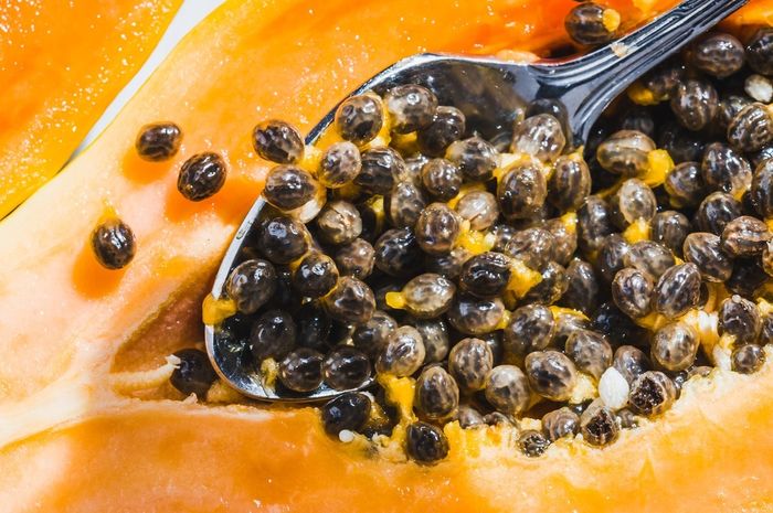 Mengintip Kandungan Biji Pepaya, ‘Butiran Hitam’ yang Kaya Antioksidan