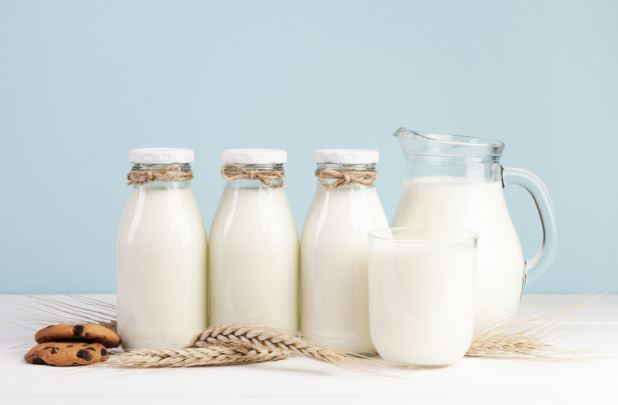 Tak Hanya Susu Sapi, Ini Beragam Jenis Susu dan Manfaatnya bagi Kesehatan