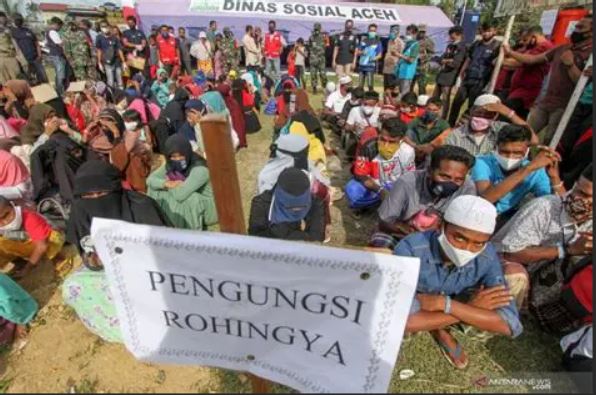 UNHCR Dorong Percepatan Pemindahan Pengungsi Rohingya dari Lhokseumawe