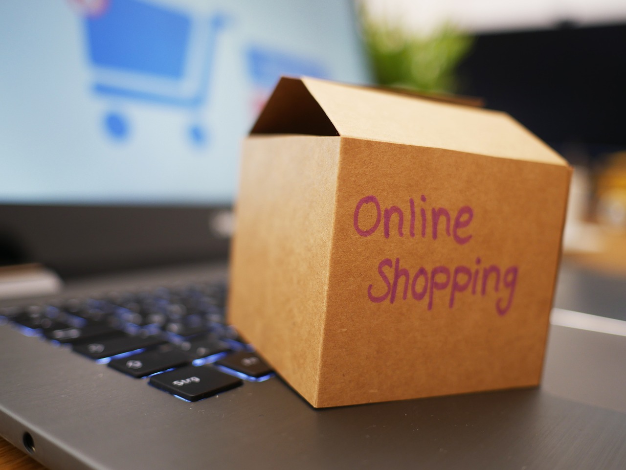 Platform E-Commerce Ini Paling Dipilih UMKM & Brand Lokal, Riset IPSOS 2025 Ungkap Faktanya!