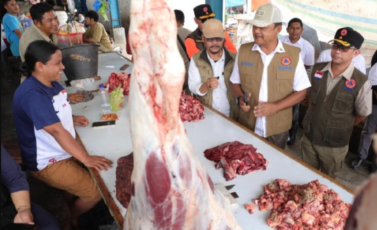 BNPB Update Kondisi Terkini Gayo Lues Pascabencana, Semakin Membaik Kah?