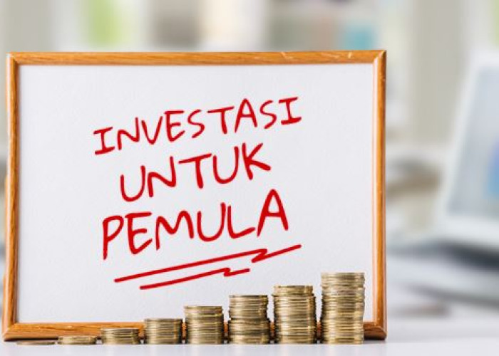 Pemula Wajib Baca! Cara Aman dan Tepat untuk Memulai Investasi dari Nol