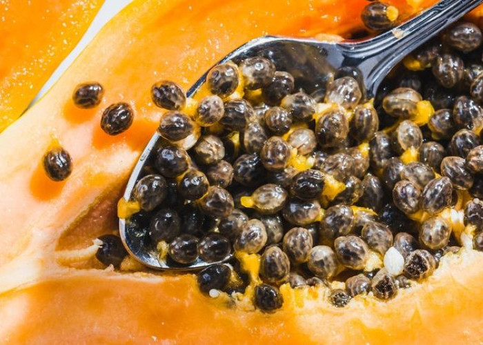 Mengintip Kandungan Biji Pepaya, ‘Butiran Hitam’ yang Kaya Antioksidan