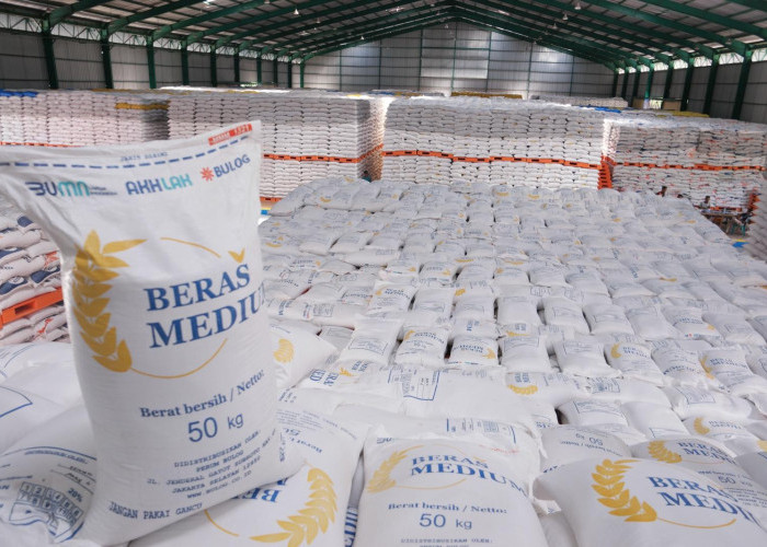 Stok Beras di Aceh Capai 118 Ribu Ton untuk 14 Bulan, Bulog: Nggak Perlu Impor
