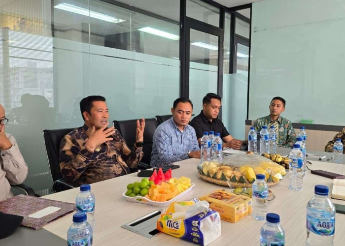 Aceh Tengah Siap Jadi Sentra Cabai Nasional: Program Rumah Tani Disepakati, Kabar Baik buat Petani Gayo
