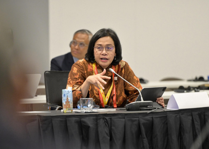 Green Energy di RI Sebatas Harapan, Sri Mulyani Bongkar Biang Keroknya