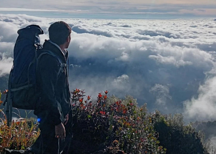 Waspada! Status Gunung Burni Telong di Bener Meriah Naik ke Level II, Pendaki Diminta Menjauh
