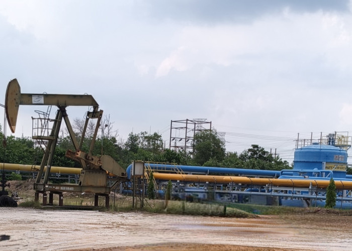 Pemulihan Lingkungan Pencemaran Limbah B3 di Blok Rokan Molor, Siapa yang Harus Bertanggung Jawab?