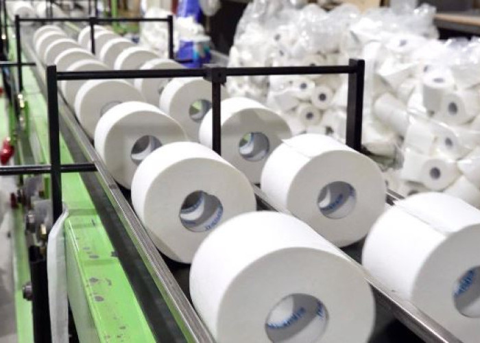 Tisu yang Kita Pakai: Bagaimana Proses Pembuatannya Bisa Selaras dengan Alam?