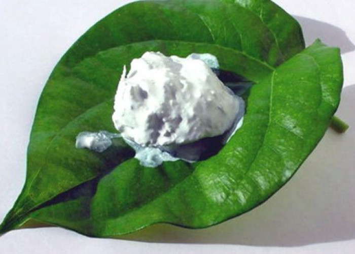 Kapur Sirih: Bahan Tradisional dengan Banyak Kegunaan dalam Rumah Tangga