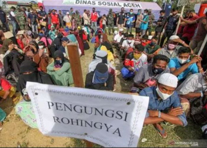 UNHCR Dorong Percepatan Pemindahan Pengungsi Rohingya dari Lhokseumawe