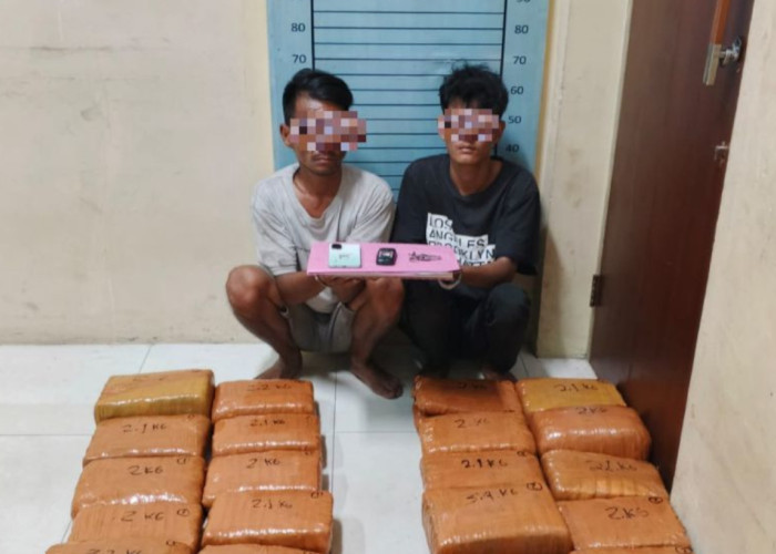 Dibayar Rp150 ribu, Dua Pria Ditangkap Polisi Usai Gagal Kirim 50 kg Ganja di Aceh Tenggara