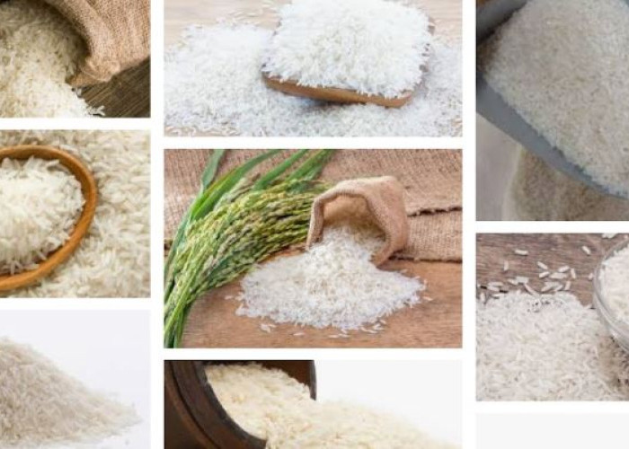 Jenis Beras Unggulan yang Banyak Dipilih Masyarakat, Mana yang Paling Sehat?