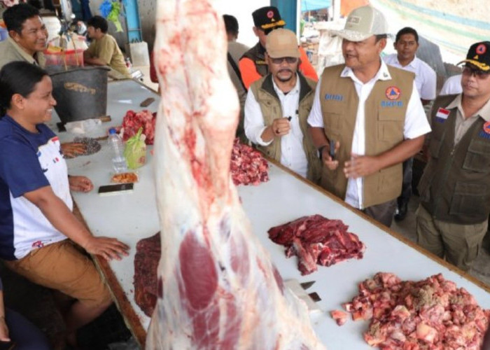 BNPB Update Kondisi Terkini Gayo Lues Pascabencana, Semakin Membaik Kah?