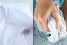 Warna Pakaian Putih Kusam? Jangan Buang! Ini 5 Bahan Alami Ampuh untuk Memutihkan Kembali.