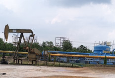 Pemulihan Lingkungan Pencemaran Limbah B3 di Blok Rokan Molor, Siapa yang Harus Bertanggung Jawab?