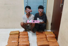 Dibayar Rp150 ribu, Dua Pria Ditangkap Polisi Usai Gagal Kirim 50 kg Ganja di Aceh Tenggara