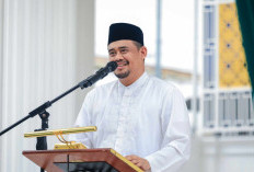 Gebrakan Bobby Nasution: Pemprov Sumut Minta Maaf soal Pencegatan Truk Plat Aceh, Anggota DPR RI Geram!