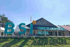 Tak Sekadar Salurkan Pembiayaan, BSI Bangun Ekosistem UMKM Nasional Bersama Danantara