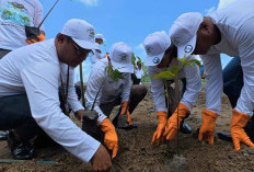 Menumbuhkan Harapan dari Akar Bumi: Komitmen PNM Hijaukan Negeri