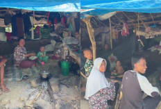 Jelang Ramadhan 2026, 6.000 Pengungsi Banjir Aceh Tamiang Belum Punya Rumah