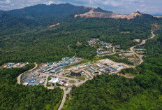 Rangkul Pelaku Usaha, BBKSDA Sumut Giatkan Aksi Konservasi Lanskap Batang Toru