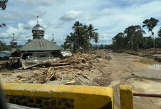 Tumpukan Kayu Gelondongan Menghambat Pencarian Korban Bencana di Aceh Utara, Mualem Bilang Begini