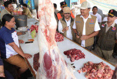 BNPB Update Kondisi Terkini Gayo Lues Pascabencana, Semakin Membaik Kah?